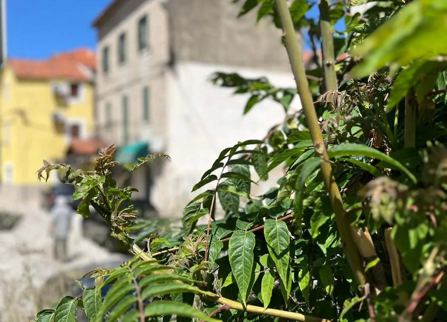 Apartment Fonte Split